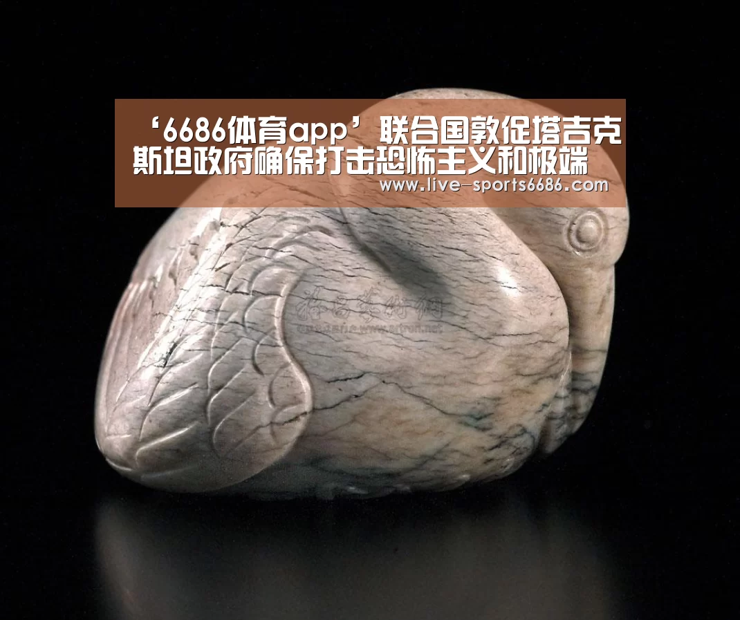 6686体育app